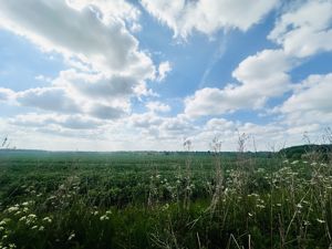 View - click for photo gallery